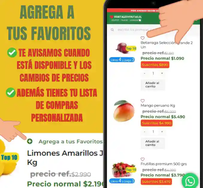 Favoritos Frutas y verduras a domicilio delivery o entregas en las siguientes comunas Las Condes Ñuñoa Vitacura Lo Barnechea Providencia La Reina Peñalolen La Florida Santiago