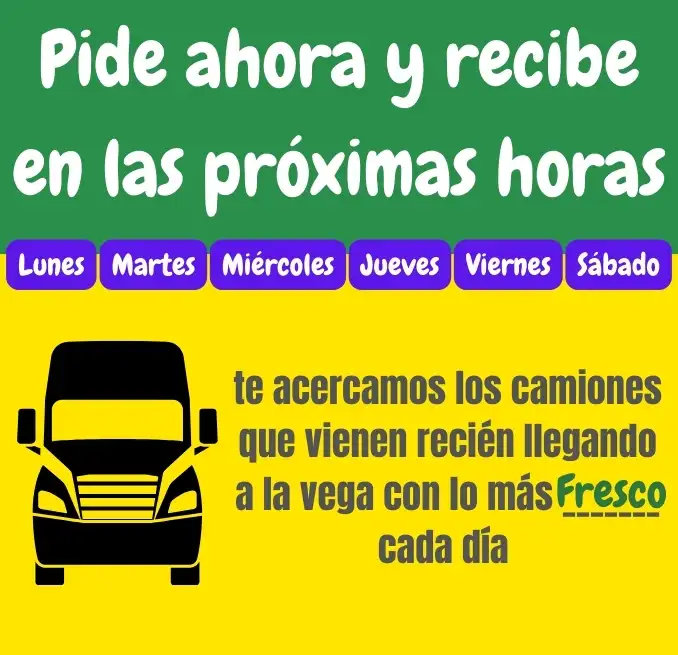 Frutas y verduras a domicilio verdulería frutería online feria La vega delivery Las Condes Lo Barnechea Vitacura Ñuñoa Providencia Santiago